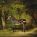 Zebra (The First Zebra Seen in England;  Portrait of a Zebra, standing, turned to the left, in a park)